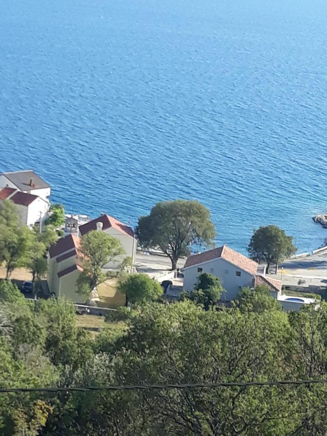 Apartmani Iva Tribanj-Kruscica Zewnętrze zdjęcie